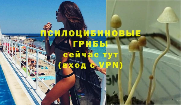 кокс Карпинск