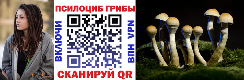Псилоцибиновые грибы Psilocybe  Купить закладки  Лахденпохья 